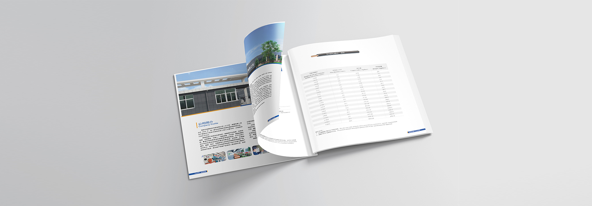 品牌設計,vi設計,logo設計,廣告設計,平面設計 品牌設計,vi設計,logo設計,廣告設計,平面設計