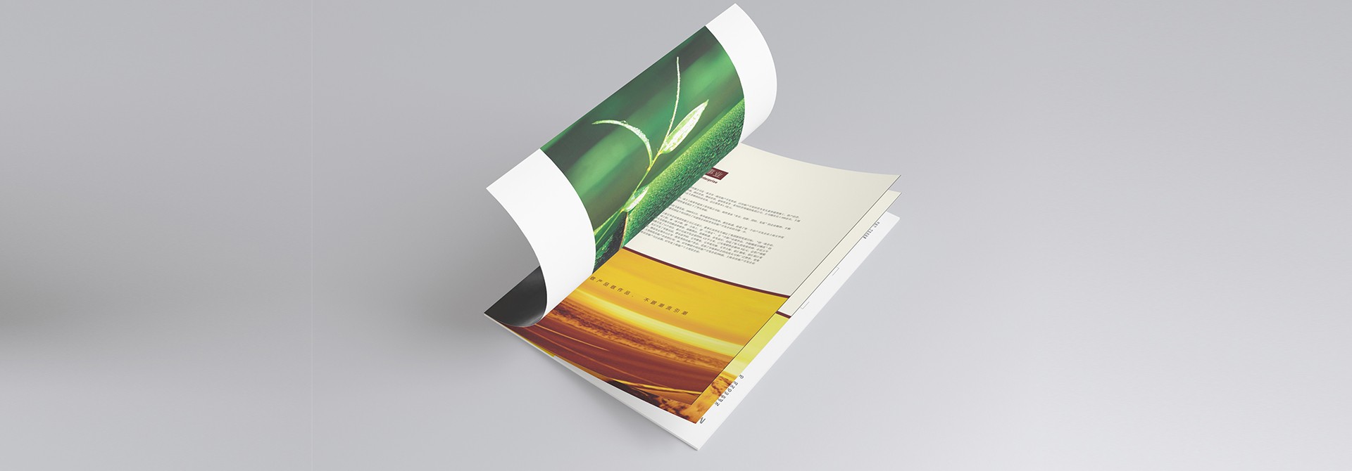 品牌設計，品牌策劃，品牌規范